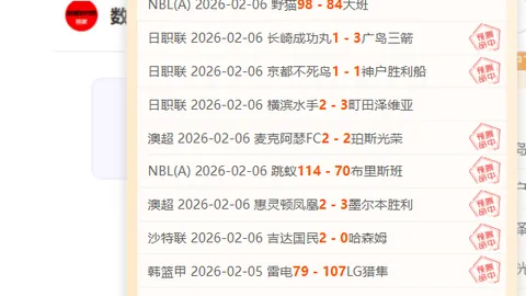 张帅搭档冲进澳网女双16强