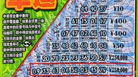 光伏电站与鸟类生，新葡京app，存的潜在冲突，论文揭示真相